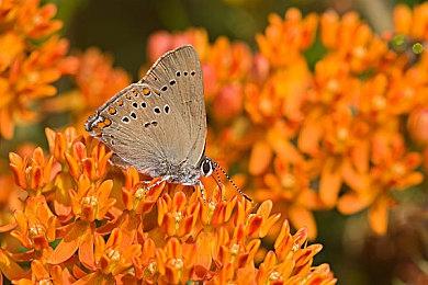 攀岩模拟游戏《真实攀岩》现已登陆Steam抢先体验